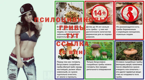 spice Балабаново
