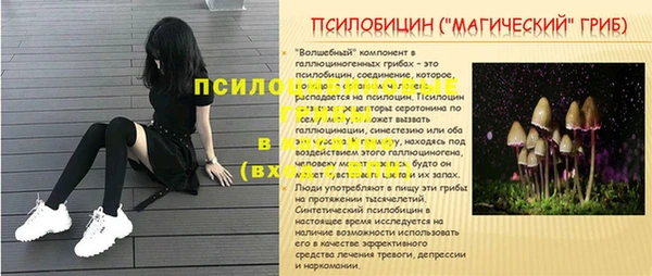 индика Армянск