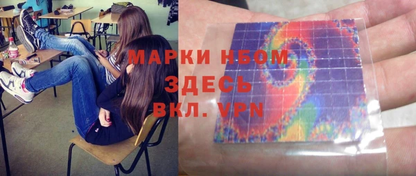 индика Армянск
