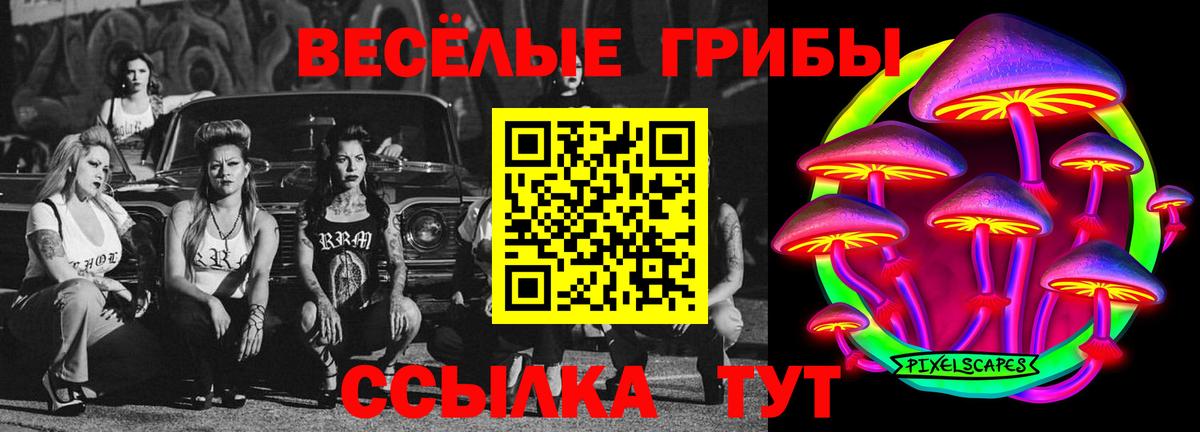 Галлюциногенные грибы прущие грибы  Джанкой  закладка  Псилоцибиновые грибы мицелий 